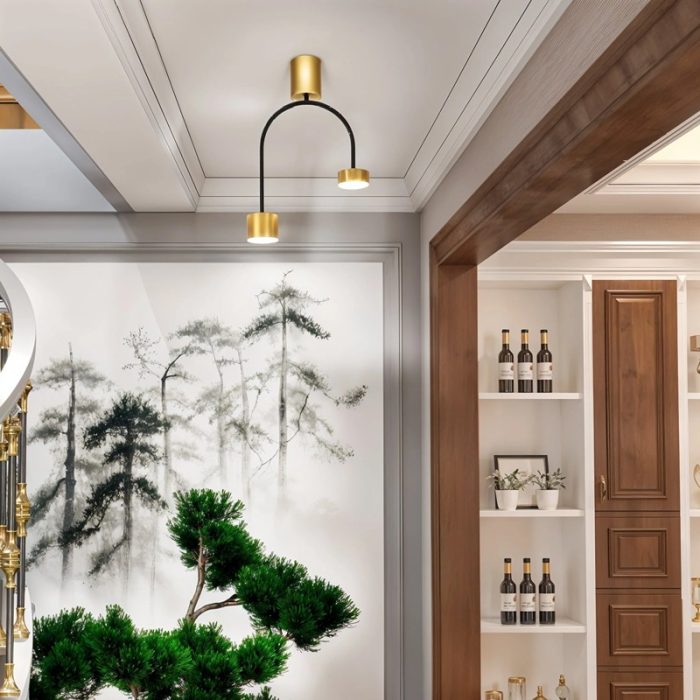 Aplica de Tavan, Model D20613-2, 2 X Bec LED GX53, 3 Tipuri De Lumina, 24W, NegruAuriu