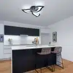 Lustră LED 3 Petale Negru 42W cu Telecomandă, Dimabilă, 3 Tipuri de Lumină - imagine 4