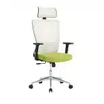 Scaun de Birou Reglabil Ergonomic cu Suport Cervical Alb-Verde - imagine 4